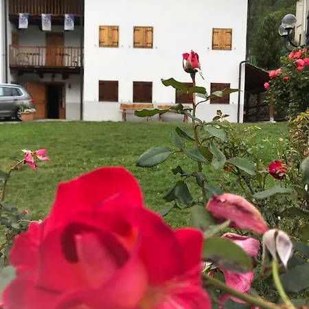 Casa Vacanze Mondrone * Balme